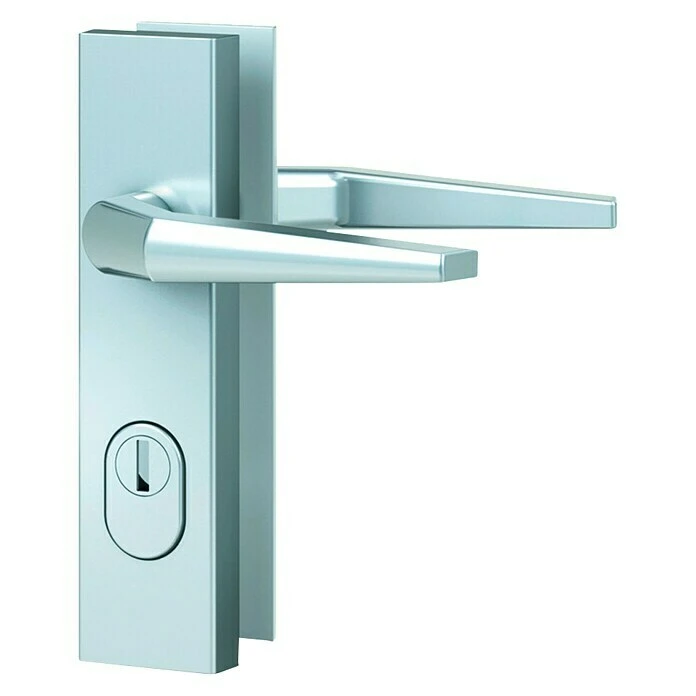 BAUHAUS Basi Schutzbeschlag ES0 VMS für Hauseingangstüren, Silber, Türstärke 38-42 mm, beidseitiger Drücker, mit Zylinderabdeckung 1 BAUHAUS Basi Schutzbeschlag ES0 VMS für Hauseingangstüren, Silber, Türstärke 38-42 mm, beidseitiger Drücker, mit Zylinderabdeckung