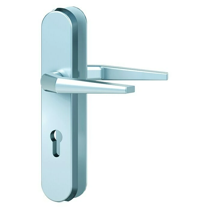 BAUHAUS Basi Schutzbeschlag ES0 VMS für Hauseingangstüren, Silber, Türstärke 38-42 mm, beidseitiger Drücker 1 BAUHAUS Basi Schutzbeschlag ES0 VMS für Hauseingangstüren, Silber, Türstärke 38-42 mm, beidseitiger Drücker