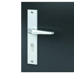 BAUHAUS Basi Schutzbeschlag ES0 VMS für Hauseingangstüren, Silber, Knopf Außen, Drücker Innen, 72 mm Distanznorm, 15 mm Schild/Rosette -Online-Shop Türzargen 12 996